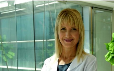 Vlogumentary Trailer