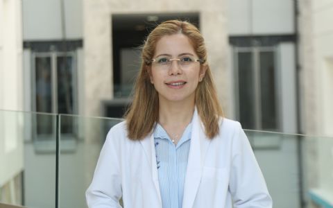 Vlogumentary Trailer