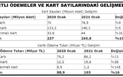 BKM-Kamu vergi ödemelerinin yarıdan fazlası internetten yapıldı