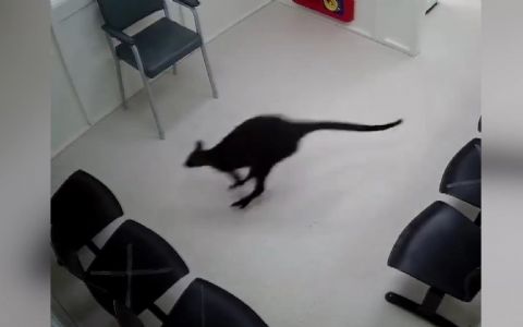 Vlogumentary Trailer