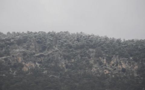 Vlogumentary Trailer