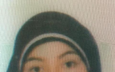 Vlogumentary Trailer