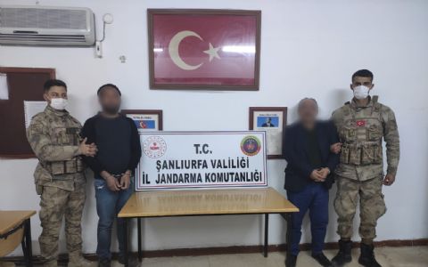 Vlogumentary Trailer